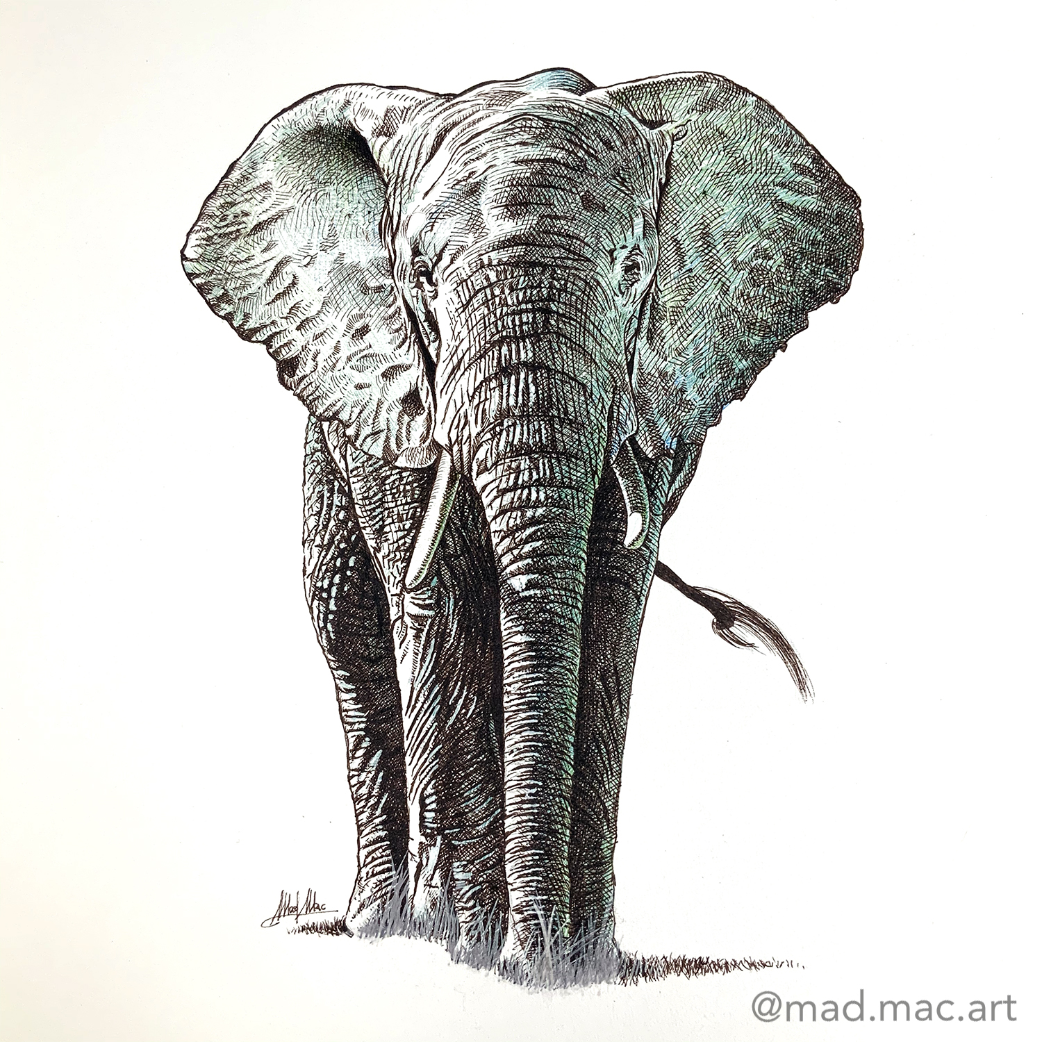 Elephant Standing in the Side View - Drawing Tutorial - PRB ARTS-saigonsouth.com.vn